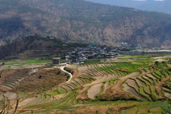 Bhutan Discovery: A 7-Day Journey from South to West