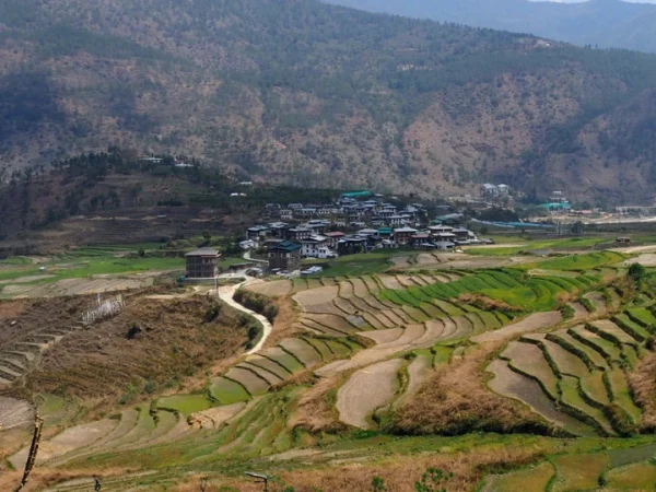 The Kingdom of Happiness: A 7-Day Essential Journey