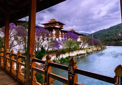 The 2026 Bhutan Traveler’s Blueprint