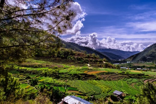 Bhutan Summer Special: A 7-Days of Emerald Valleys & Enlightenment
