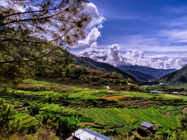 Bhutan Summer Special: A 7-Days of Emerald Valleys & Enlightenment