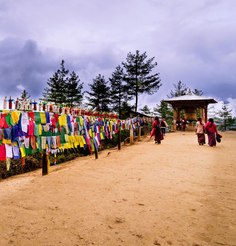 Spiritual & Wellness Journeys